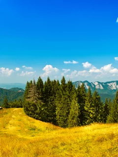 sky, пейзаж, trees, landscape, деревья, 1920x1080, зелень, облака, nature, трава, небо, mountains, greenery, лес, clouds, природа, grass, горы, forest