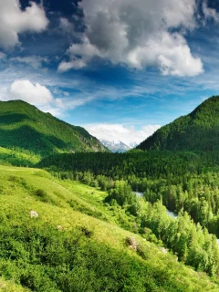 река, лес, небо, горы, голубое, green highlands, облака