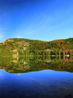 природа, озеро, лес, reflection, отражение, bear lake