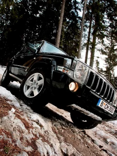 commander, лес, снег, jeep, деревья