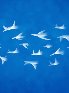 владстудио, небо, flock, полет