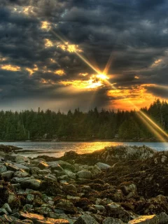река, камни, небо, лес, закат, sunset