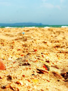 ракушка, море, небо, обломки, пляж, горизонт, песок, раковины, берег, тепло, лето