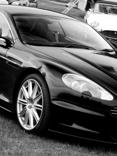 чорно белое, dbs, martin, aston
