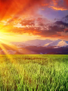 зелёный, красивое, заснеженные, луг, солнце, splendid landscape, ослепительное, небо, облака, горы
