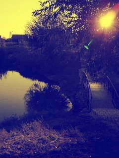 деревья, вода, мост, закат, озеро, природа, листья