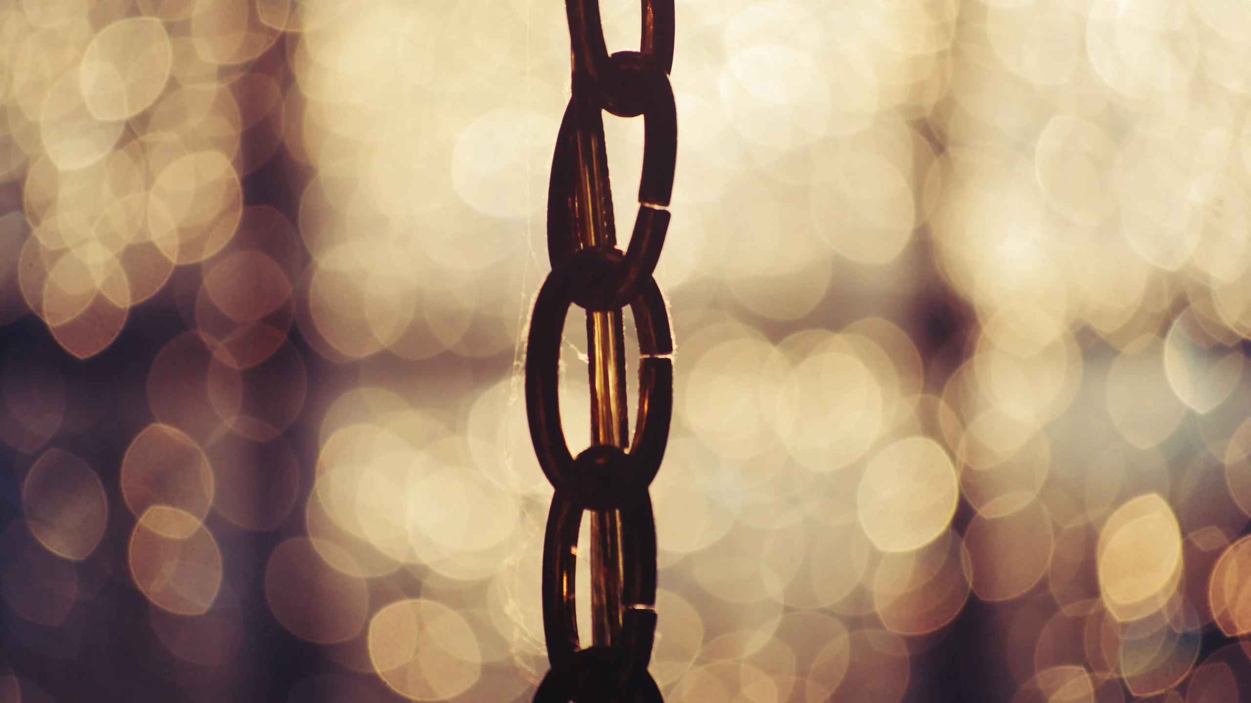 золотистый, bokeh, цепь