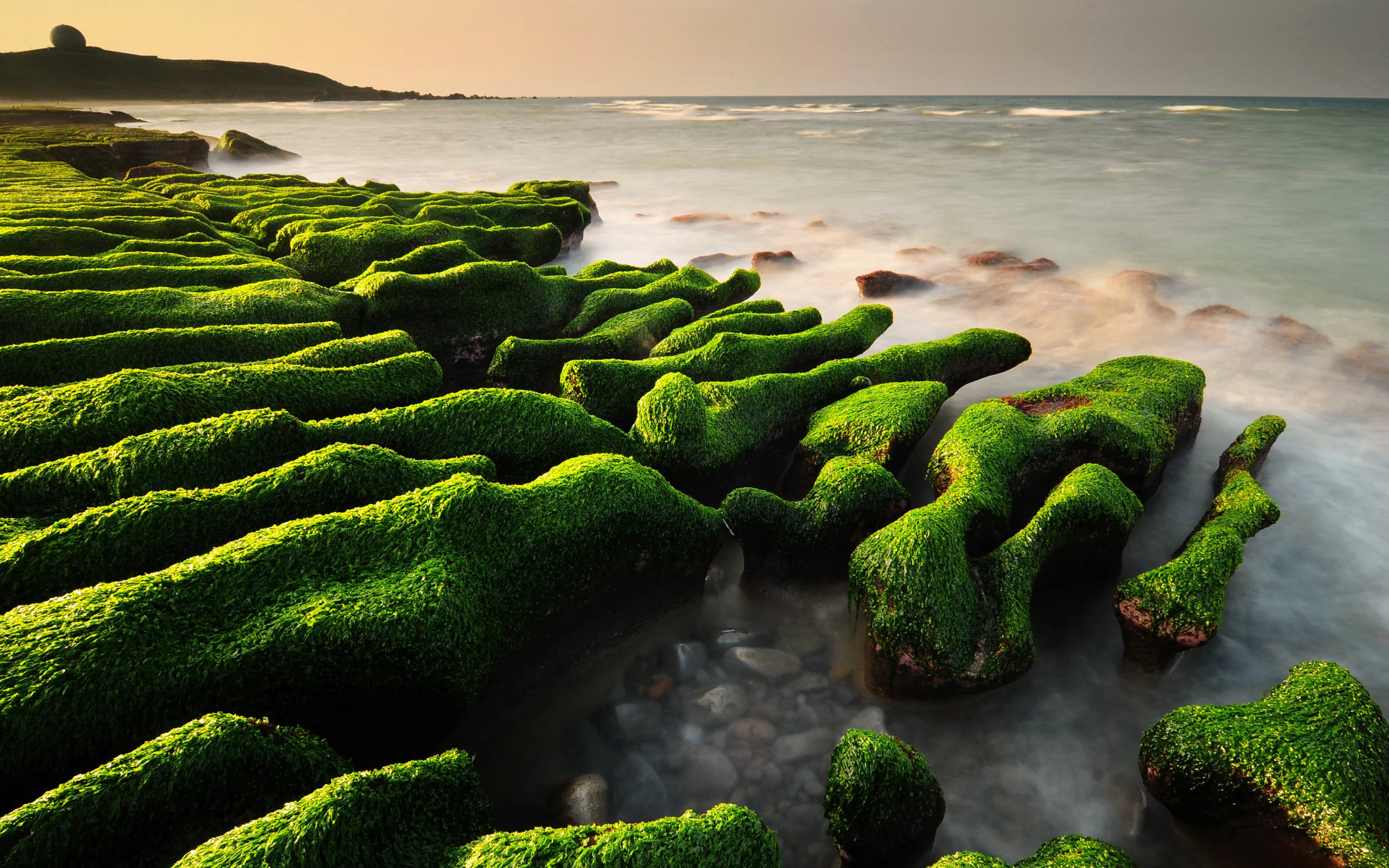 камни, водоросли, море