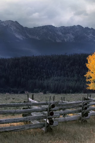 тучи, горы, nature, природа, лес, ограждение, осень, бревна, пасмурно, бревно, дерево, поляна, забор, местность, пейзаж