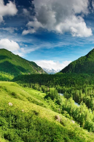 река, лес, небо, горы, голубое, green highlands, облака