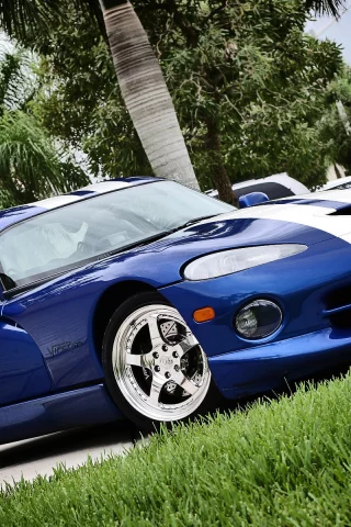 диски, viper, полосы, dodge, пальмы