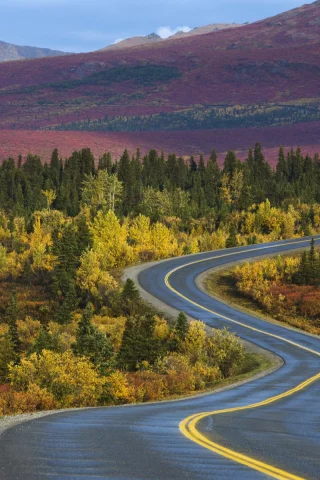 лес, дорога, деревья, аляска, осень