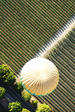 вид сверху, air baloon, baloon, поле, полет, воздушный шар, дорога