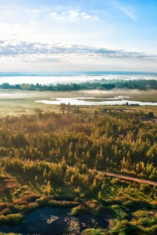 дорога, солнце, воздушный шар, небо, вид, облака, лес