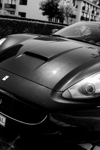ферари, машины, ferrari, авто, тачки