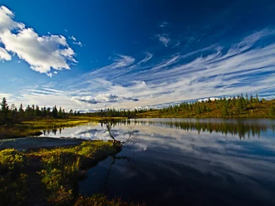 облака, небо, лес, река