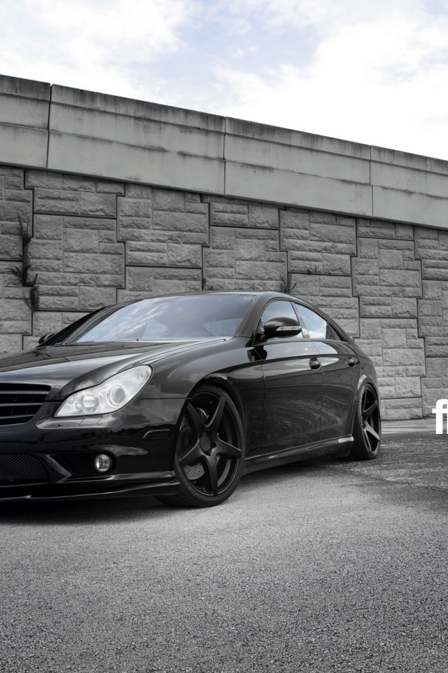 mercedes cls w 219