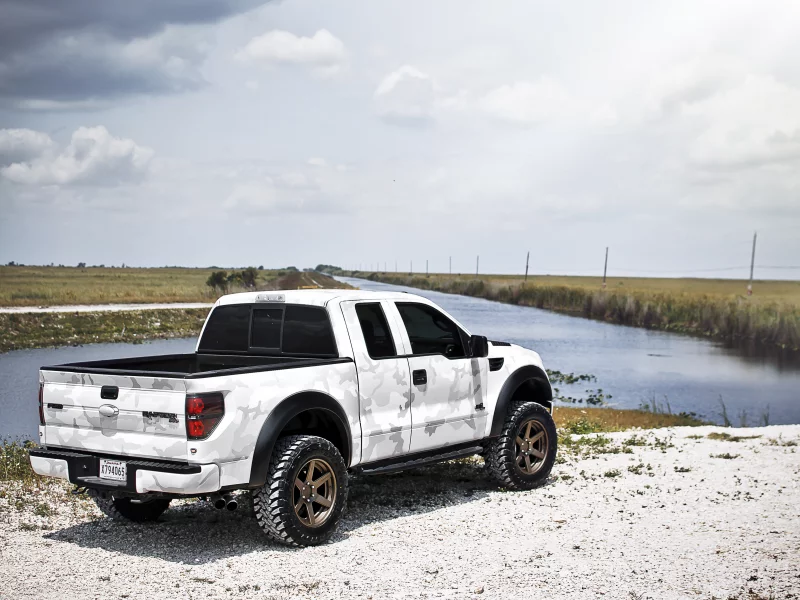 svt, f-150, форд, white, раптор, белый, raptor, ford