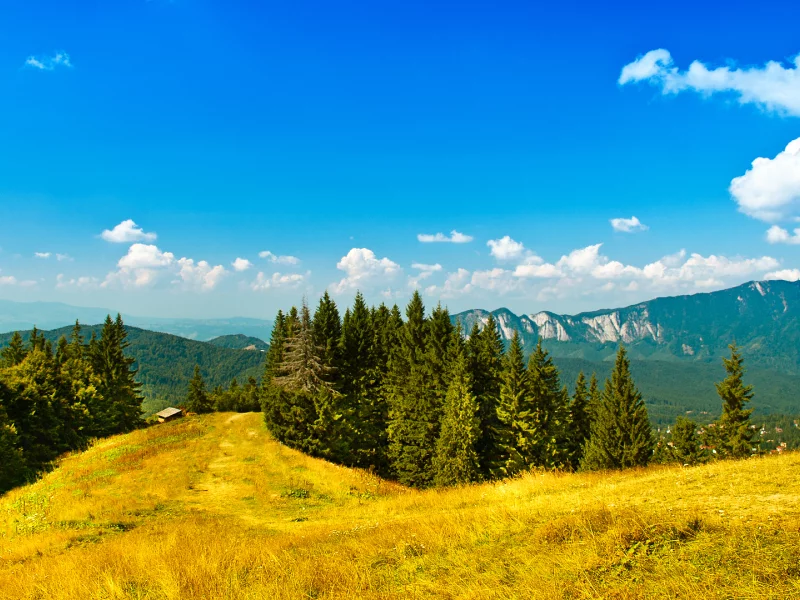 sky, пейзаж, trees, landscape, деревья, 1920x1080, зелень, облака, nature, трава, небо, mountains, greenery, лес, clouds, природа, grass, горы, forest