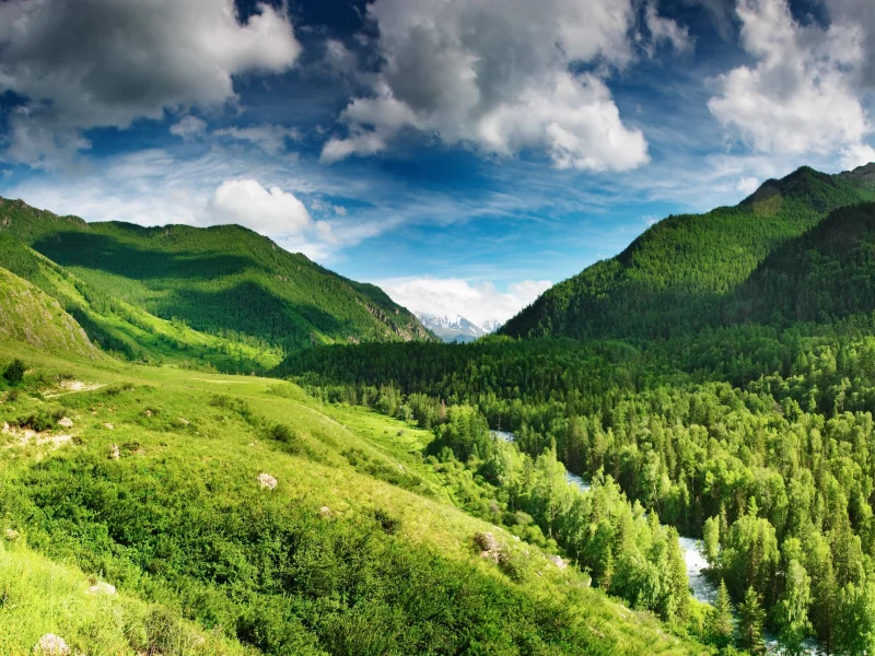 река, лес, небо, горы, голубое, green highlands, облака