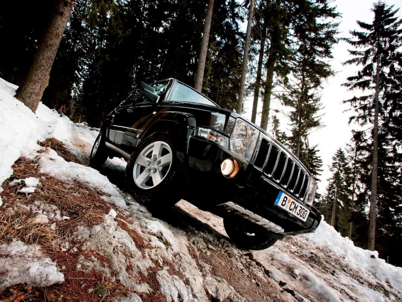 commander, лес, снег, jeep, деревья