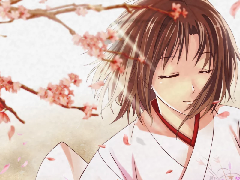 девушка, аниме, сад грешнков, shiki ryougi, kara no kyoukai