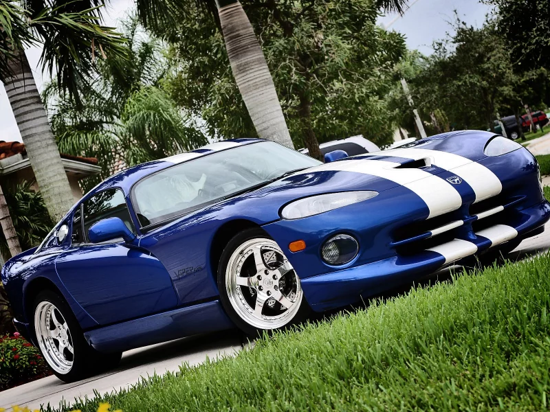 диски, viper, полосы, dodge, пальмы