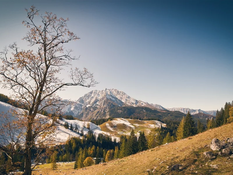 горы, лес, небо, осень