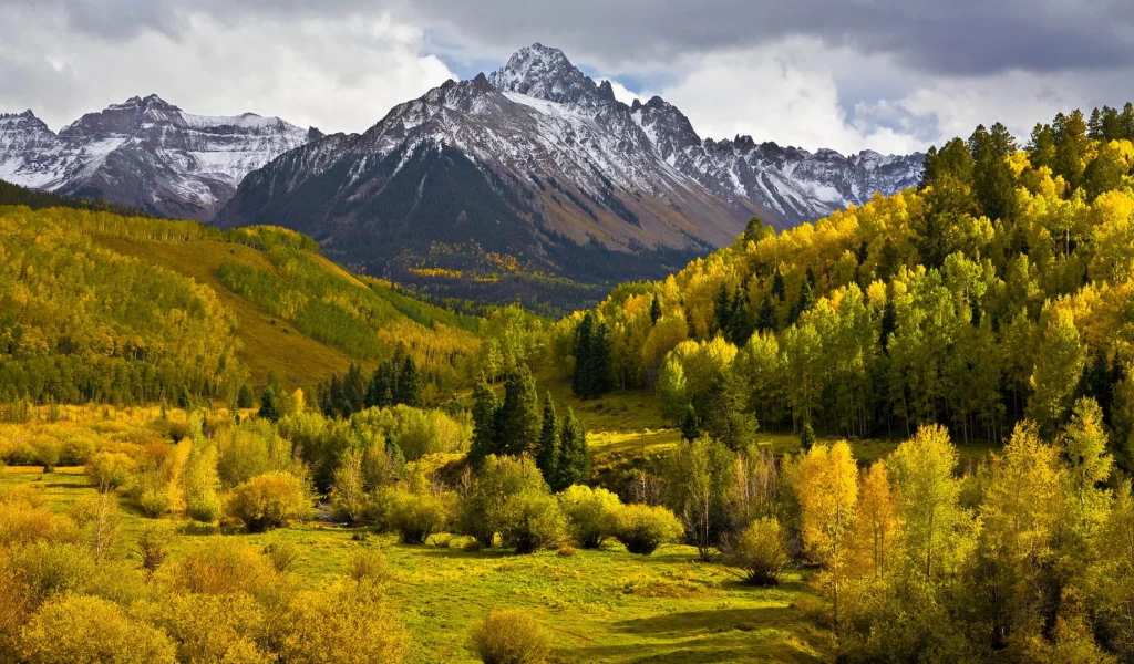 горы, лес, осень, деревья