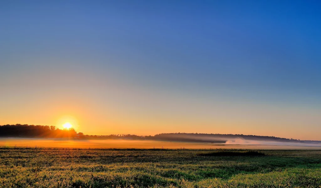 солнце, природа, поле, трава, небо, лучи, закат