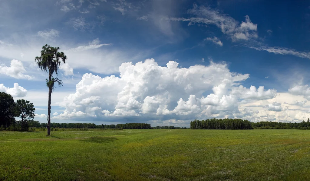 зелёный луг, geographic, небо, голубое, national, деревья, nature