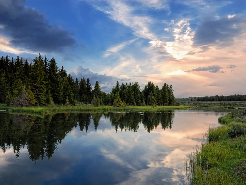 лес, небо, природа, река
