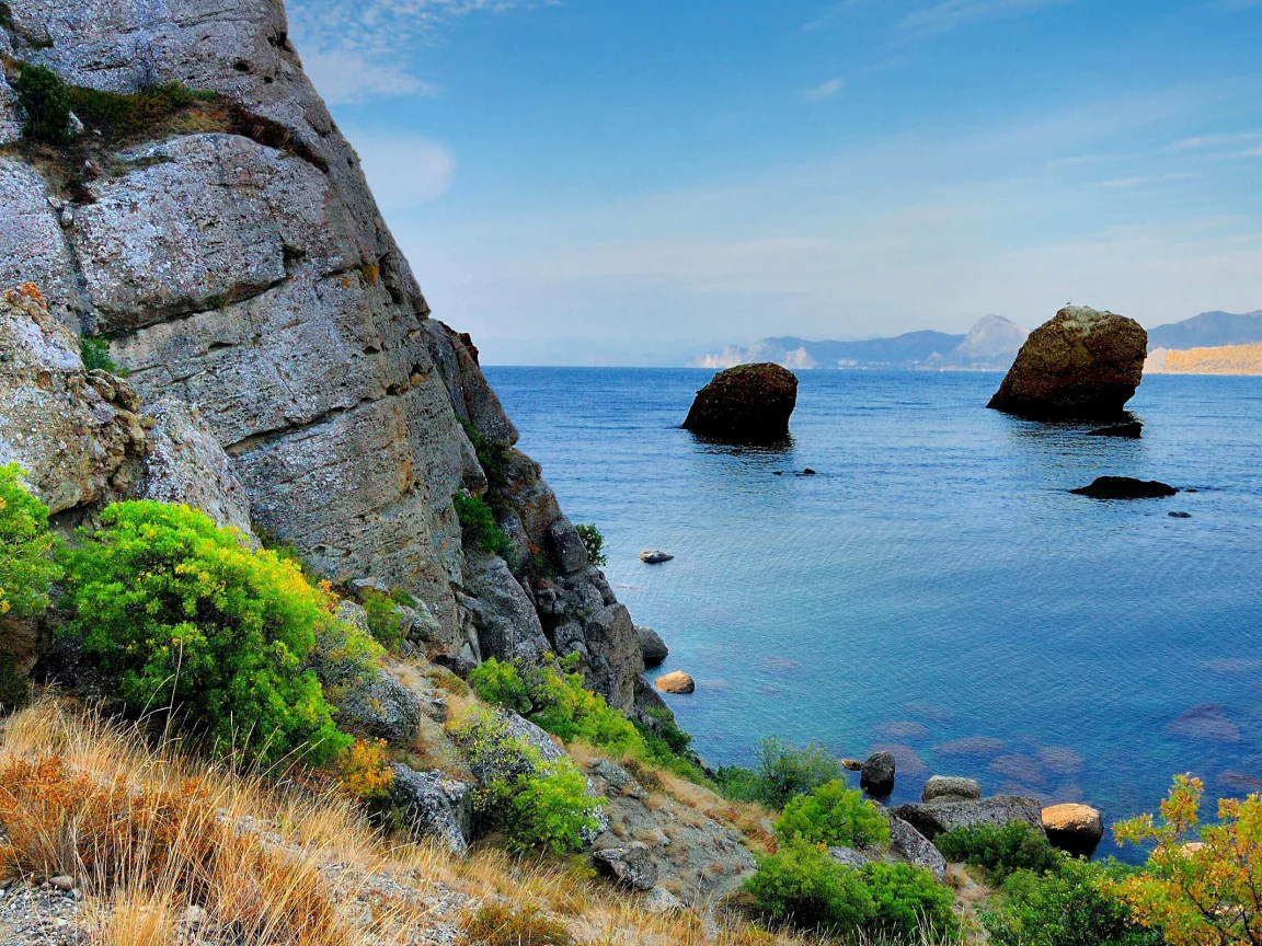 скала, крым, кусты, море, черное, горы, берег, камни