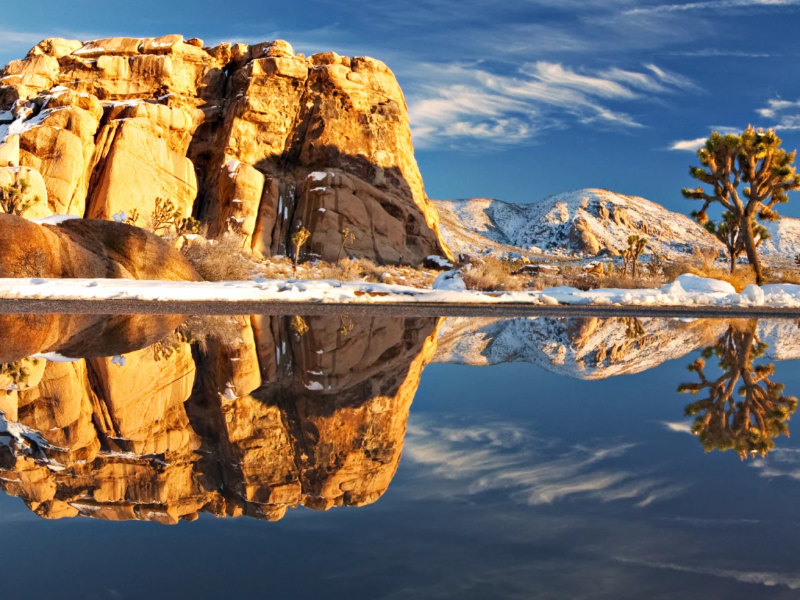 joshua tree national park, камень, природа, америка, пейзаж, озеро, растения, отражение, камни