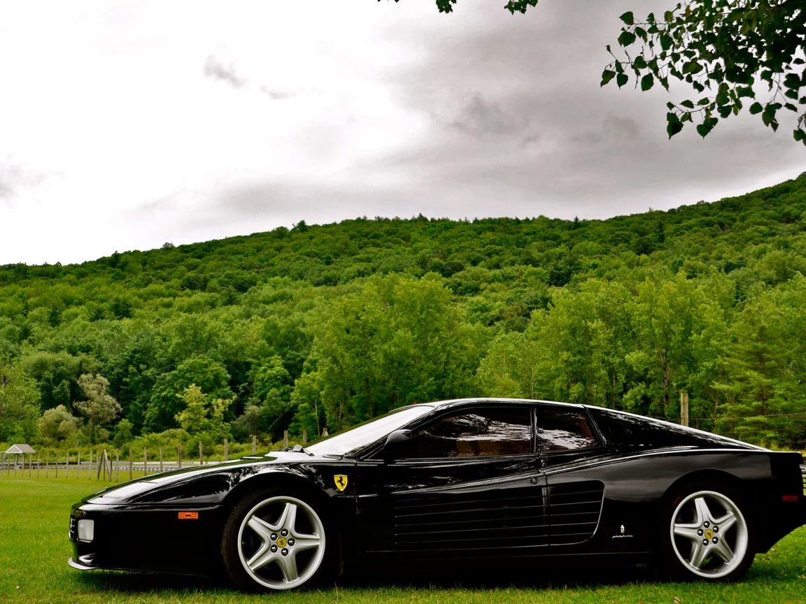 черный, природа, лес, ferrari