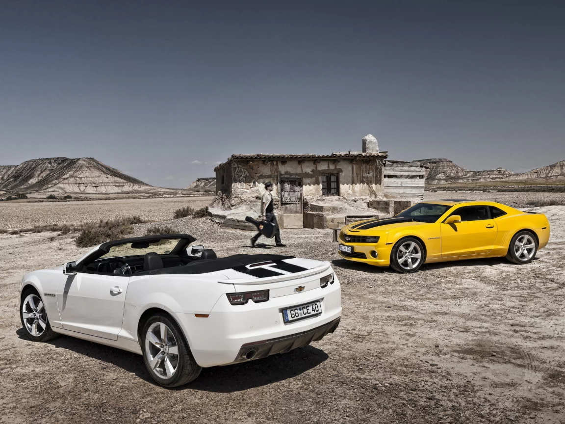 белый, white, v, родстер, камаро, yellow, шевроле, camaro, ss, chevrolet