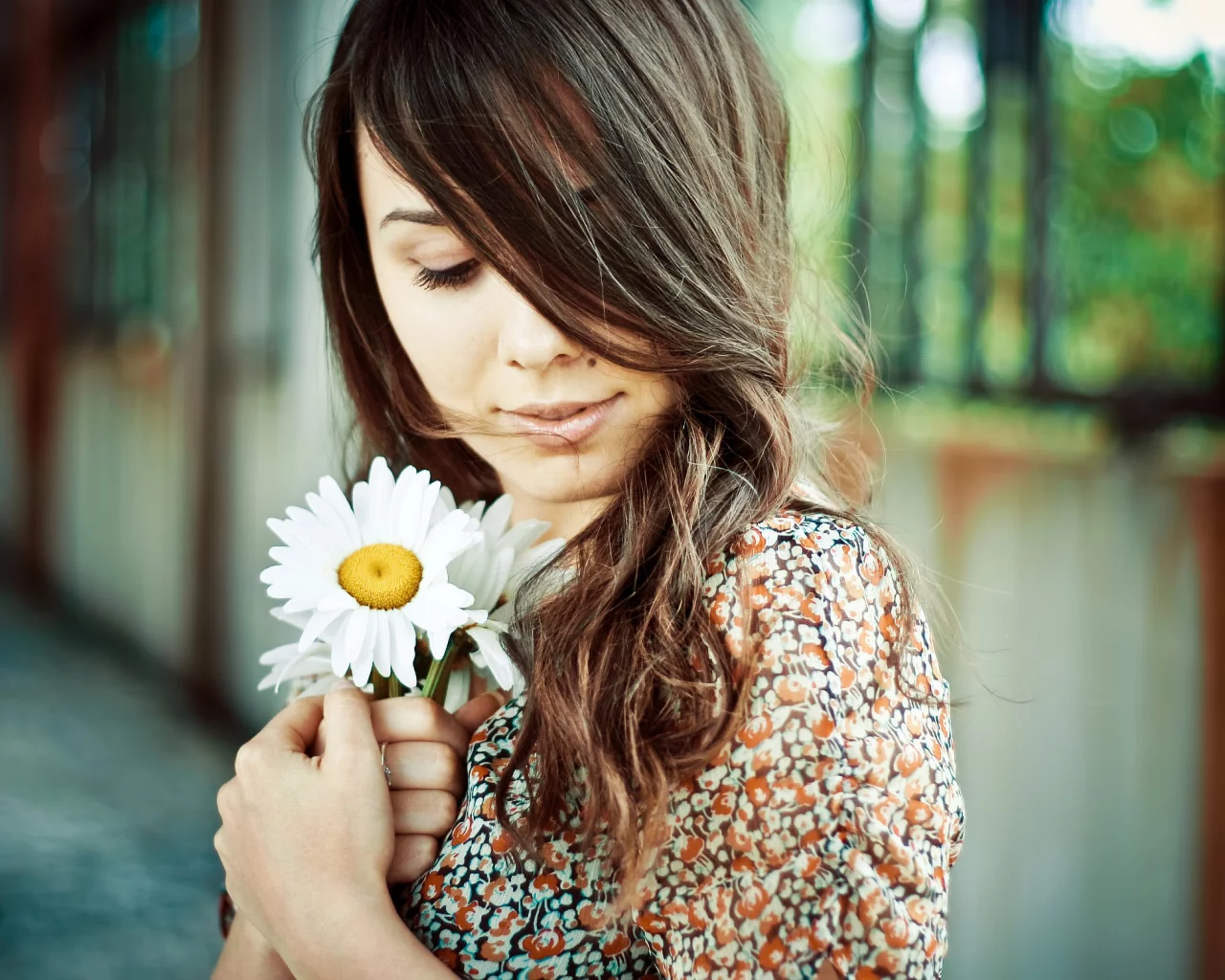 девушка, girl, daisy, ромашка