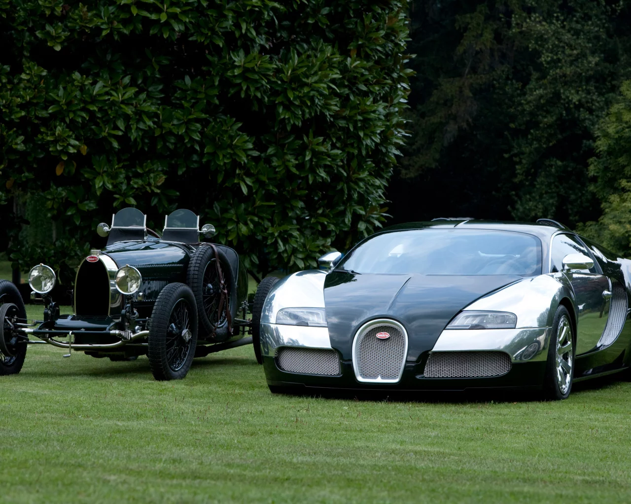 bugatti veyron, bugatti grand prix, природа, черный