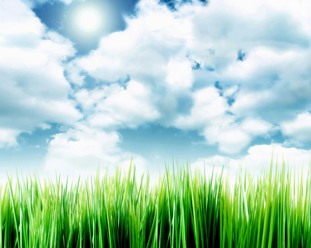 sky over the grass, небо, облака, травка