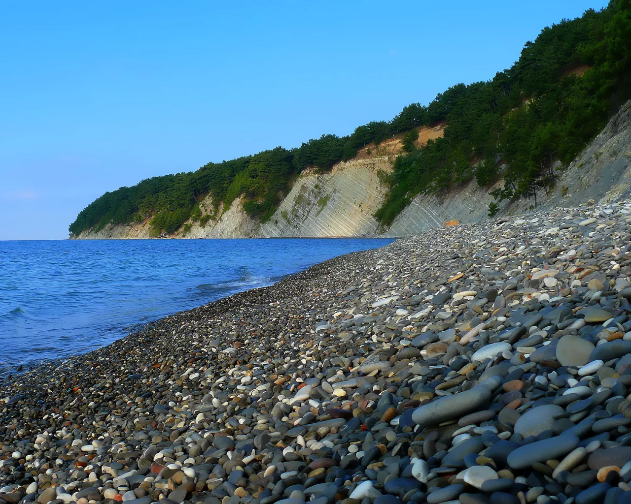 камни, пляж, море, кусты