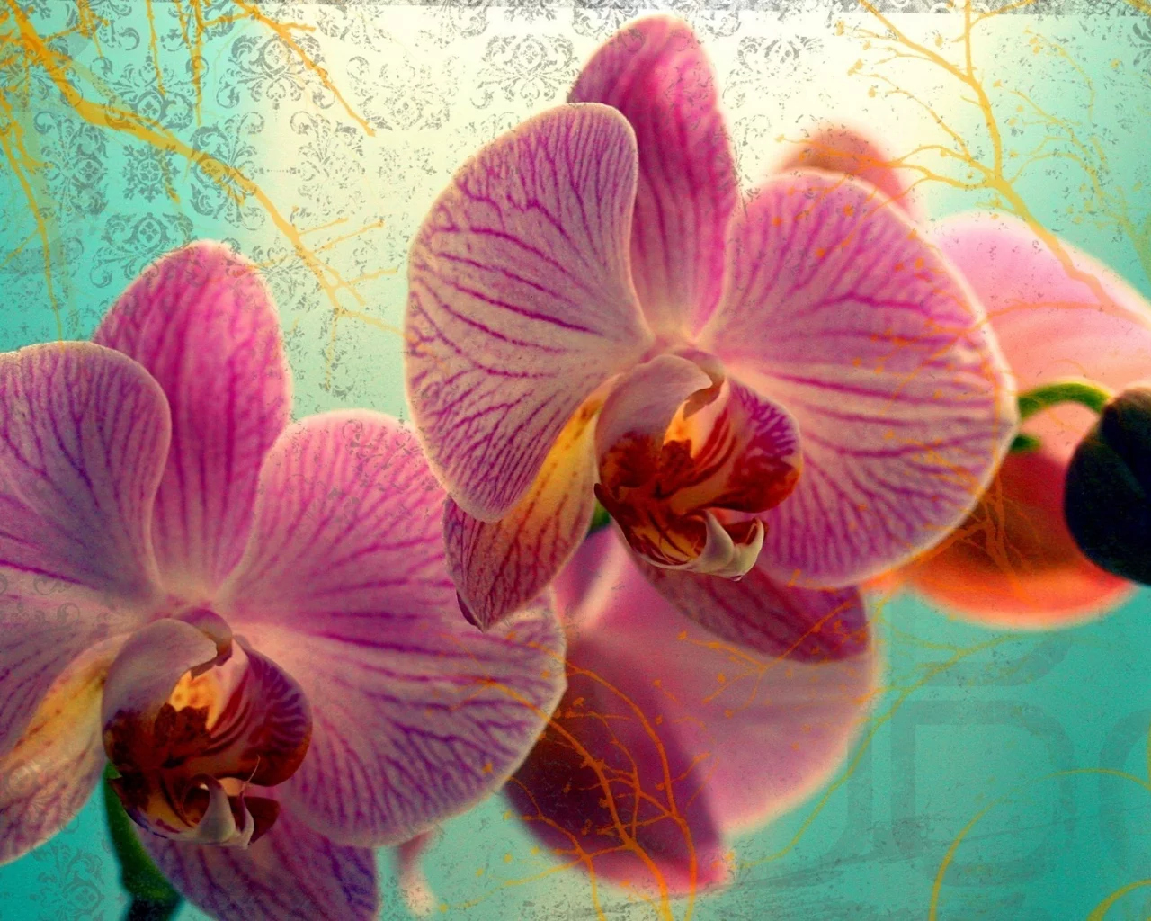цветок, цветы, flowers, макро, бутон