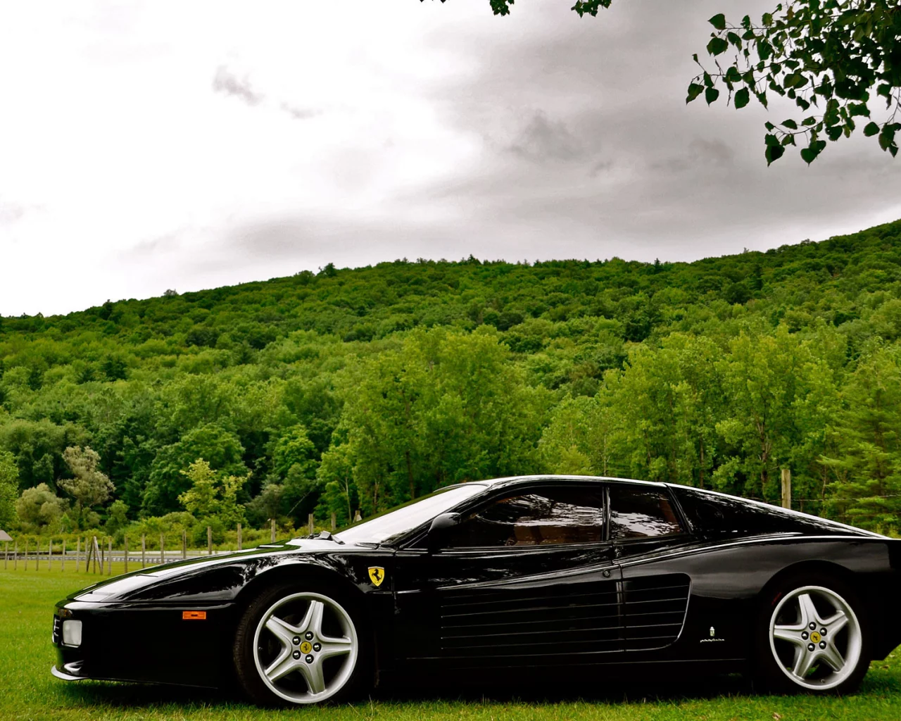 черный, природа, лес, ferrari