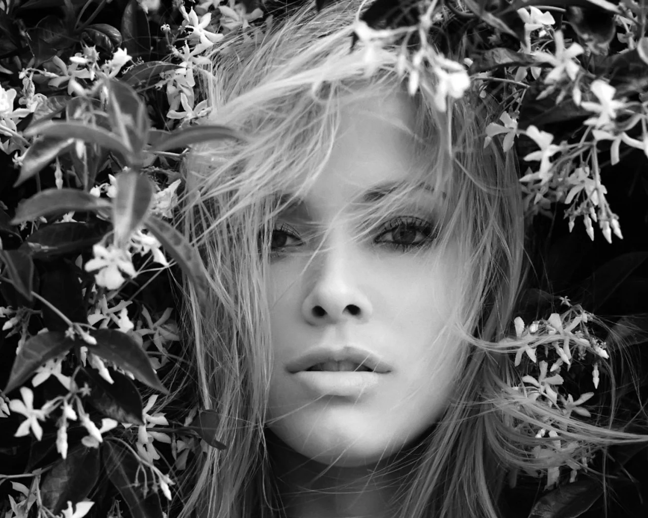 актриса, kristanna loken, чб, взгляд, черный фон, лицо, волосы, цветы