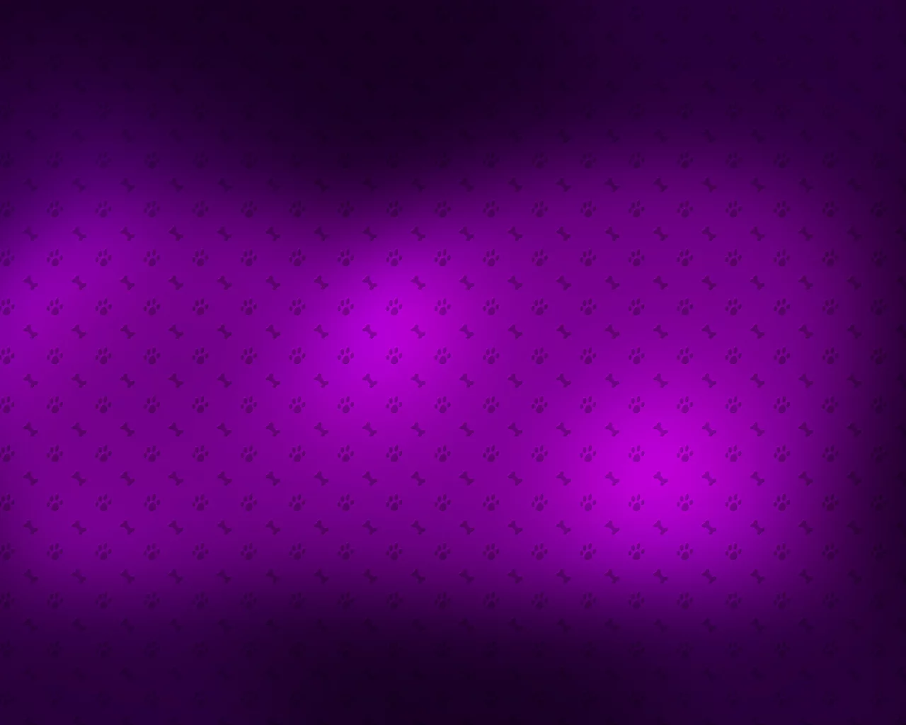 фон, 2560x1600, картинки, текстуры, лапы, обои