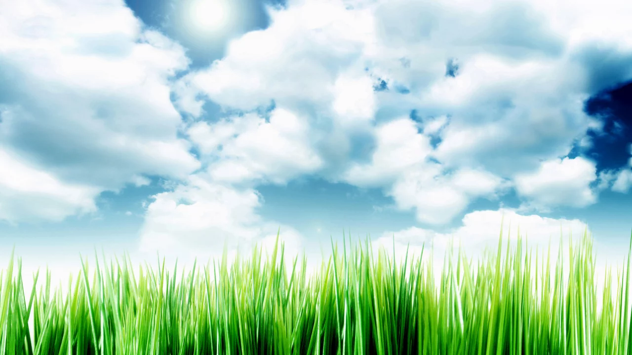 sky over the grass, небо, облака, травка