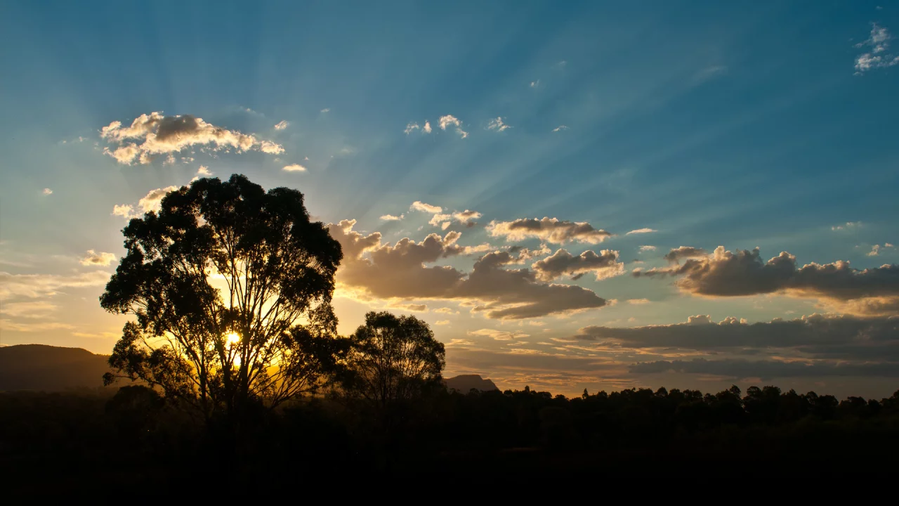 австралия, деревья, деревья, australia, лучи, облака, солнце, лес, лучи солнца, горы, закат, вечер, дерево