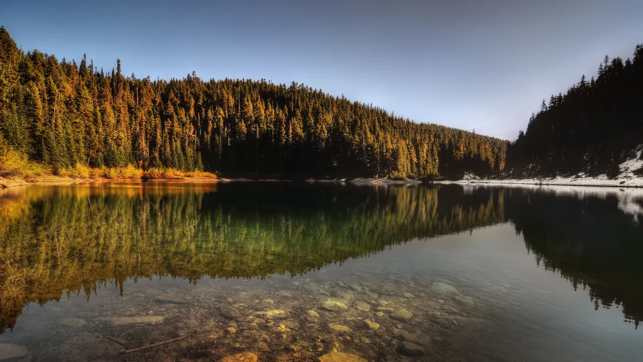 деревья, холмы, вода, nature, природа, отражение, лес, озеро, снег