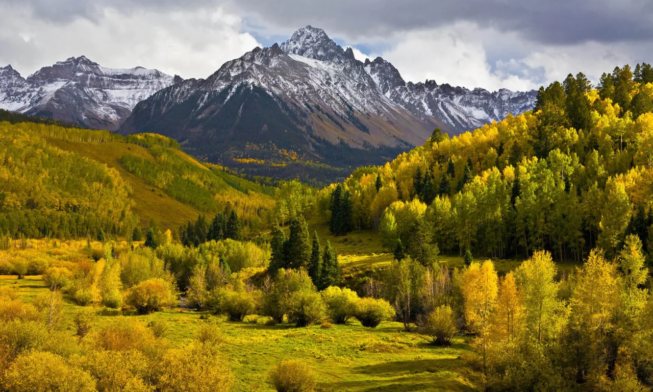 горы, лес, осень, деревья