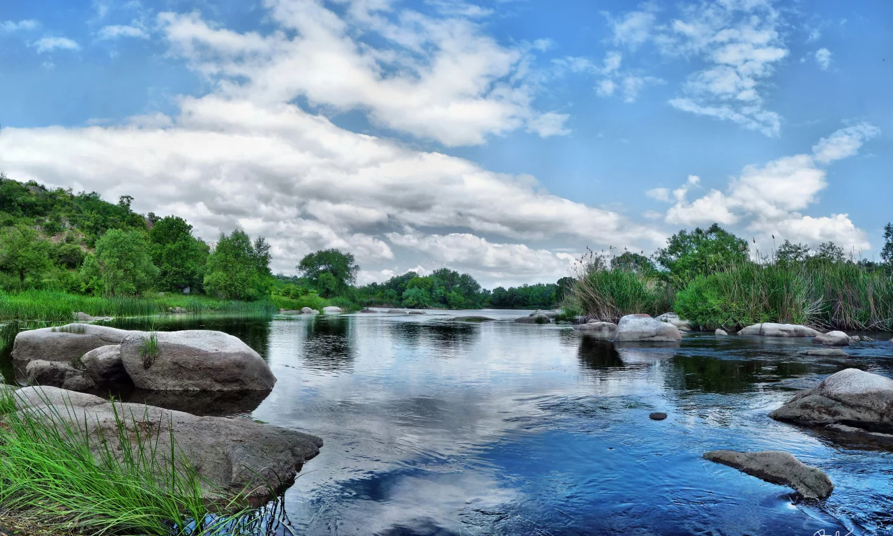 вода, река, лес, отражение, растительность, камни