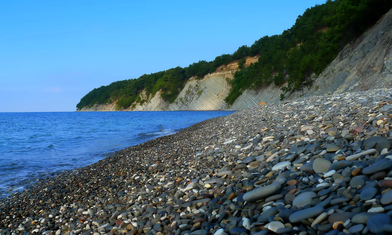 камни, пляж, море, кусты
